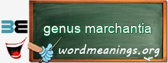 WordMeaning blackboard for genus marchantia